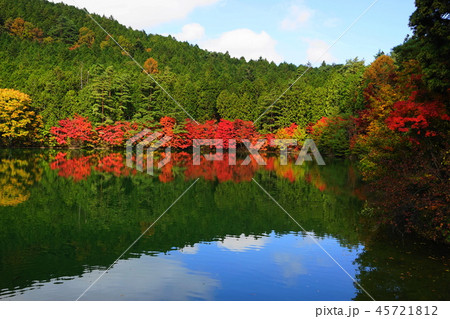 11月 南アルプス市07南伊奈ヶ湖の紅葉 11月 南アルプス市07南伊奈ヶ湖の紅葉 45721812
