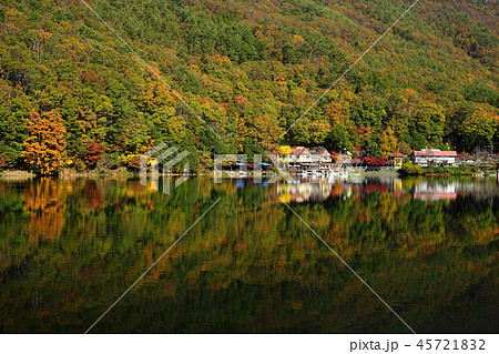 11月 四尾連湖紅葉の写真素材