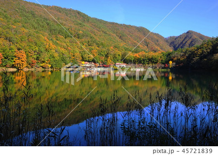 11月　四尾連湖76紅葉 45721839