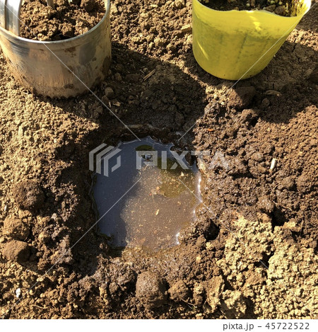 イチゴ苗定植‗穴に水を浸す‗005 45722522