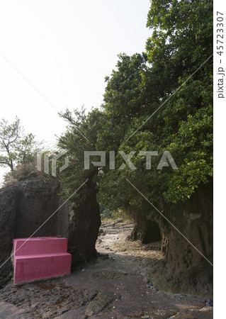 鹿児島 45723307