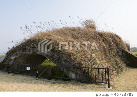 鹿児島 45723785