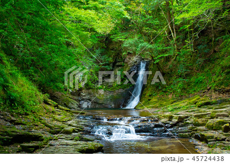 赤目四十八滝 滝 赤目四十八滝 滝 45724438