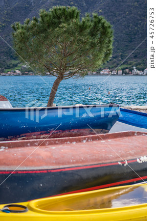 Tree and colorful fishing boats 45726753