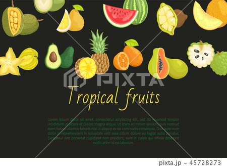 Tropical Fruits Banner with Exotic Food Jackfruit Tropical Fruits Banner with Exotic Food Jackfruit 45728273