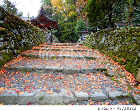 晩秋の葛川明王院 45728322
