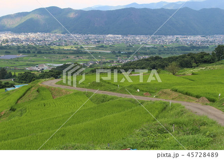 長野　棚田 45728489
