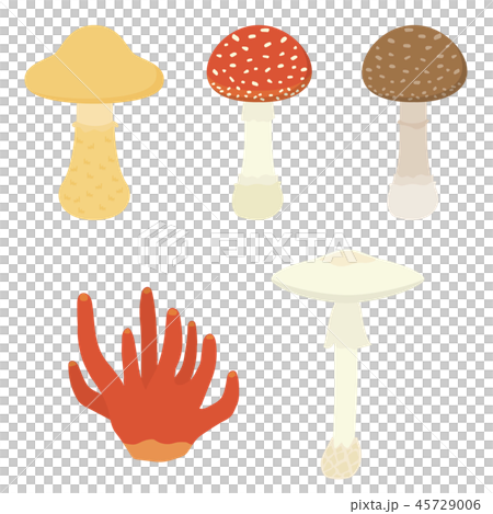 毒キノコ 45729006