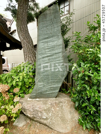 泉鏡花出生の地 泉鏡花出生の地 45729507