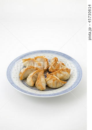 揚げギョウザ景徳鎮蛍焼き平皿 45730614