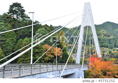 紅葉の奥多摩大橋 多摩川 東京都奥多摩町梅澤 ｊｒ青梅線川井駅そば の写真素材