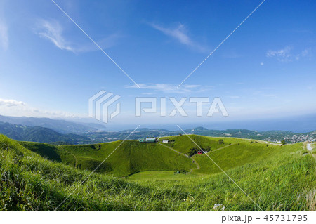 大自然の伊豆半島大室山 45731795