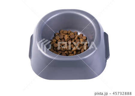 Bowl with dry cat food 45732888
