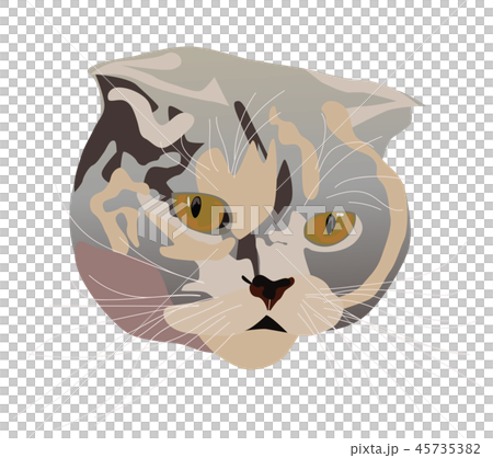 Cat spotted striped head sketch vector graphics color picture Cat spotted striped head sketch vector graphics color picture 45735382