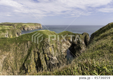 Bullers of Buchan, Aberdeenshire, Scotland 45736059