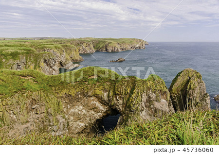 Bullers of Buchan, Aberdeenshire, Scotland 45736060