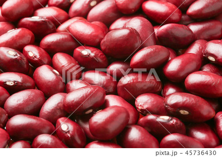 金時豆 金時豆 45736430