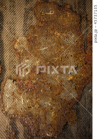 Closeup of topside of beehive glued with propolis 45737135