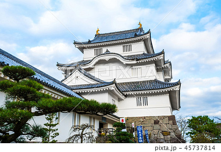 大多喜城 （千葉県夷隅郡大多喜町） ※2018年11月撮影 45737814