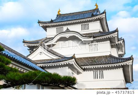 大多喜城 （千葉県夷隅郡大多喜町） ※2018年11月撮影 45737815