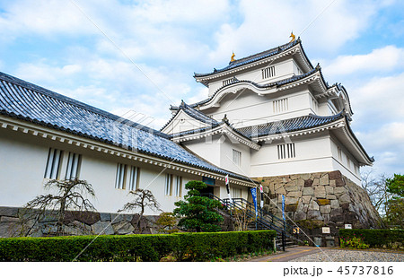 大多喜城 （千葉県夷隅郡大多喜町） ※2018年11月撮影 45737816