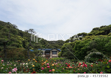 鎌倉文学館  Kamakura Museum of Literature 45739562
