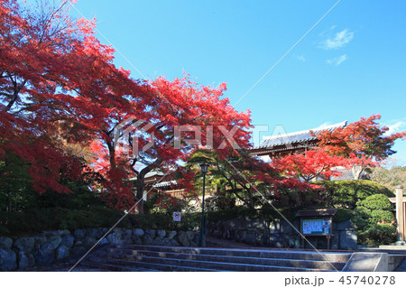 能仁寺 紅葉 能仁寺 紅葉 45740278