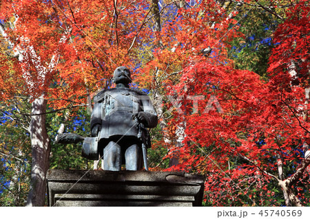 東郷公園　紅葉 45740569