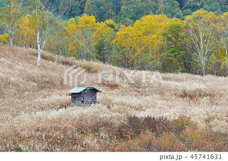 志賀高原の秋の田ノ原湿原 志賀高原の秋の田ノ原湿原 45741631