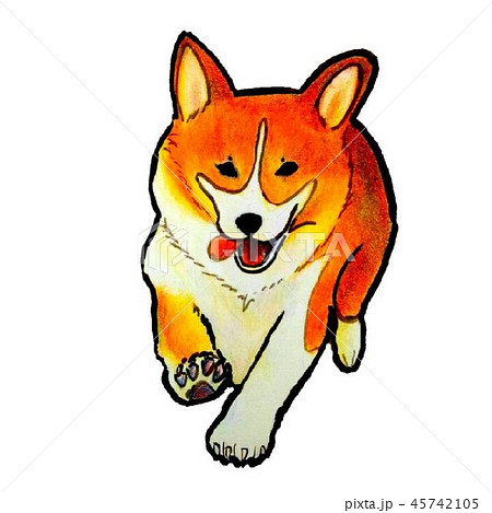 こちらに向かって走るコーギーのイラスト素材 こちらに向かって走るコーギーのイラスト素材