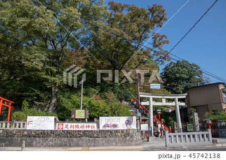 縁結び　足利織姫神社　大鳥居 45742138