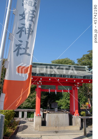 縁結び 足利織姫神社 手水舎 縁結び 足利織姫神社 手水舎 45742190
