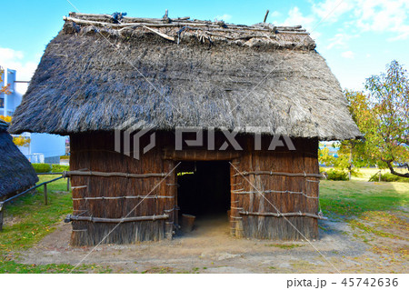 科野の村　屋代清水遺跡 45742636