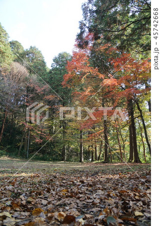 1811関之尾紅葉 45742668