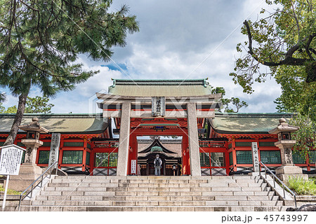 住吉大社 角鳥居と幸壽門 45743997