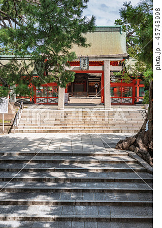 住吉大社 角鳥居と幸壽門 45743998