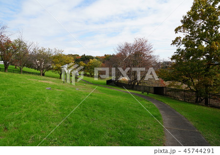 11月のこぶし公園 11月のこぶし公園 45744291
