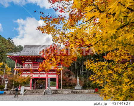 紅葉の高山寺の写真素材