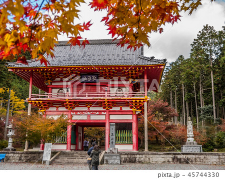 紅葉の高山寺 45744330
