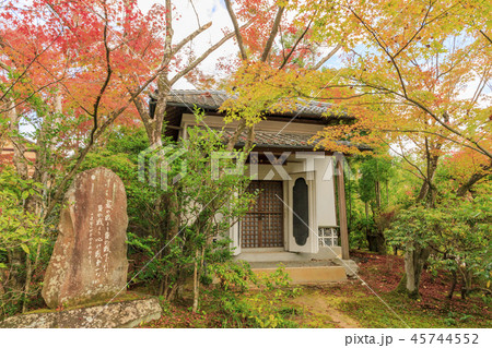 常照寺　紅葉 45744552