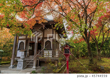 常照寺　紅葉 45744559