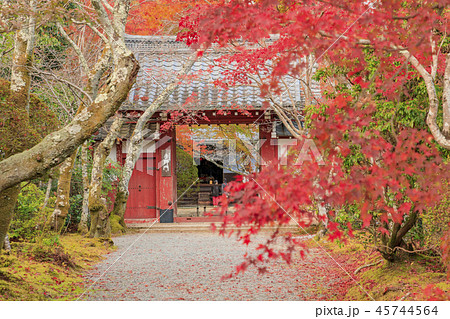 常照寺　紅葉 45744564