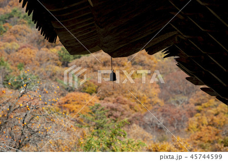 山 紅葉 空 45744599