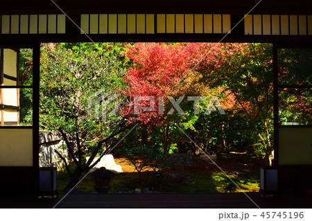 毘沙門堂　勝林寺の紅葉 45745196