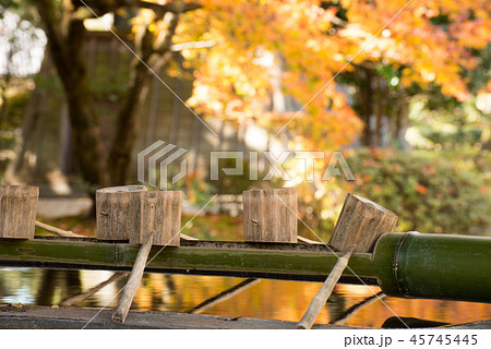 正眼寺の紅葉 45745445