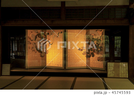 建仁寺 紅葉 建仁寺 紅葉 45745593