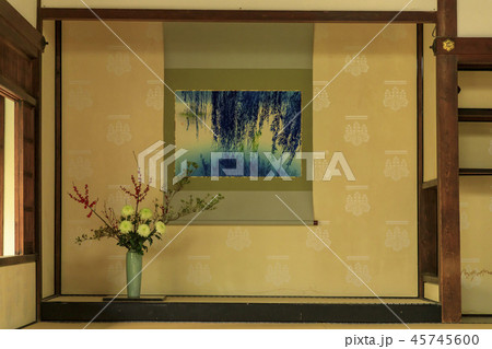 建仁寺 紅葉 建仁寺 紅葉 45745600