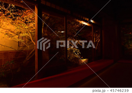 南禅寺　天授庵の紅葉ライトアップ 45746239