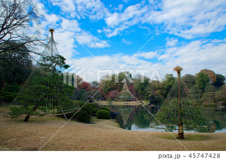 六義園の紅葉と青空　吹上茶屋と蓬莱島　雪吊り 45747428