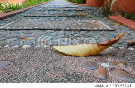 Dry leaf on Stone block walk path in the park 45747511
